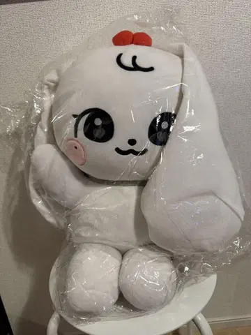 IVE minive 체리 원영