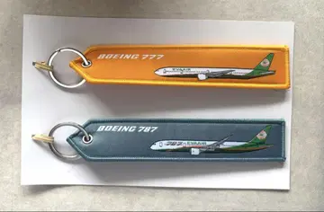 2개 세트 EVAAIR 플라이트 태그