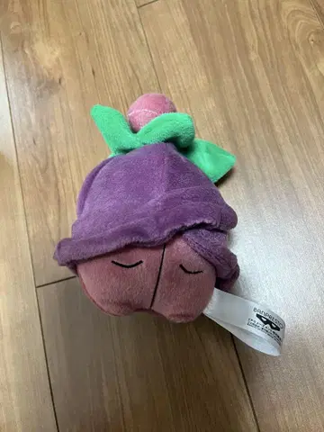 체림 네가 형태