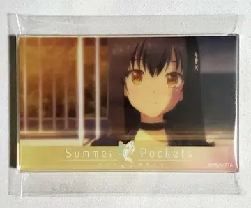Summer Pockets 여름 포켓 아크릴 블록 구시마 카모