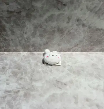 (리틀미 님)