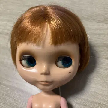 오브라이스 해피 에브리데이 본체