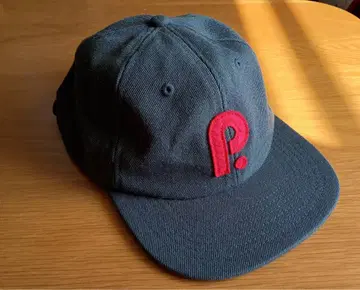 패터슨 CAP