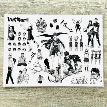 하이큐 벽 스티커 카라스노 B