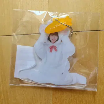 와타나베 리나 아크릴 키링 동물 인형옷 히나타자카46