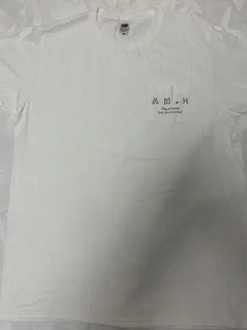 AH H 티셔츠 하세가와 아키오 후이나무