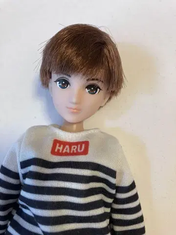 리카짱 인형 보이프렌드 하루토군