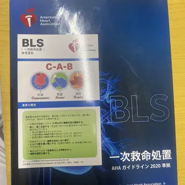 bls 공급자 매뉴얼 2020
