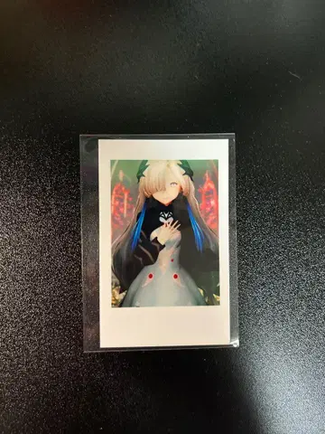 V.W.P 세계 정서 랜덤 폴라로이드풍 트레이딩 카드 신쓰바키