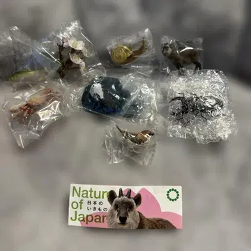 전 8종 컴프 NATURE OF JAPAN 일본의 생물 03