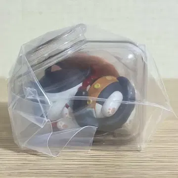 에이스, 잘 자, 냥 피스