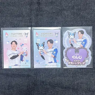 파이터즈 귀여운 시리즈 군지 마이멜로디 쿠로미 스티커 트레이딩 카드