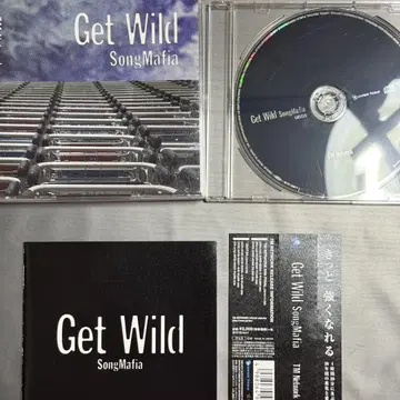 Get Wild SongMafia 오류 디스크 포함