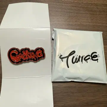 TWICE 채영 랜덤 핀 배지