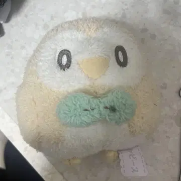 포켓피스 모코로 포켓몬 봉제 인형
