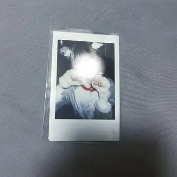 라부시쿠 하야테 폴라로이드