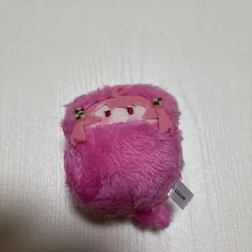 카라피치 싸개 타피누이 노아