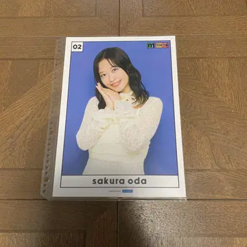 모닝구 무스메. '25 오다 사쿠라 핑포스