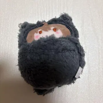 카라피치 싸개 타피누이 우리
