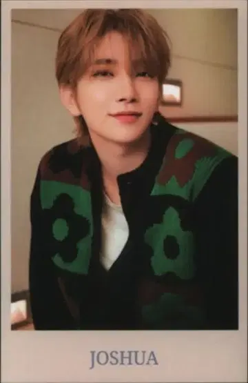 SEVENTEEN JOSHUA 2024 CARAT LAND 베이지