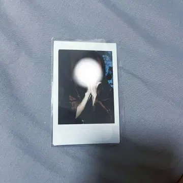 라부시쿠 하야테 폴라로이드