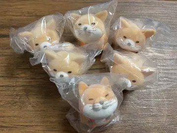 만주 타누키 캡슐 토이