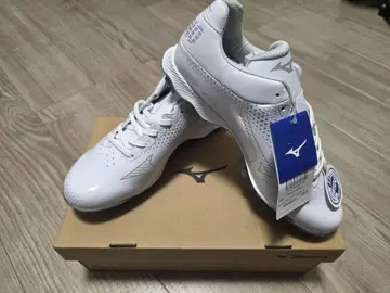 Mizuno Wave Lightrevo 스파이크 25.0cm