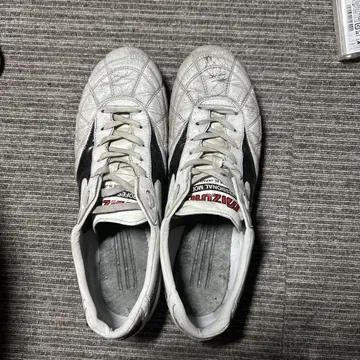 Mizuno 모레리아 29cm