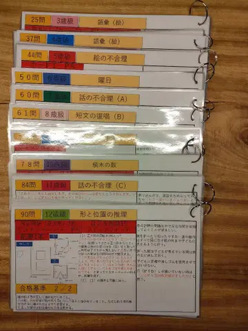다나카 비네 지능 검사 V 검사 진행 시트 3세~12세 세트