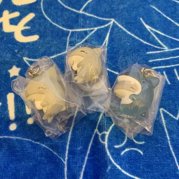 외출용 작은 상어 메지루시 액세서리