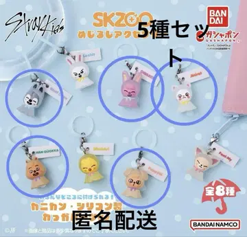 skzoo 메지루시 액세서리 5종 세트