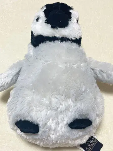 팔경도 시파라다이스 봉제 인형 펭귄 수족관 아쿠아 뮤지엄