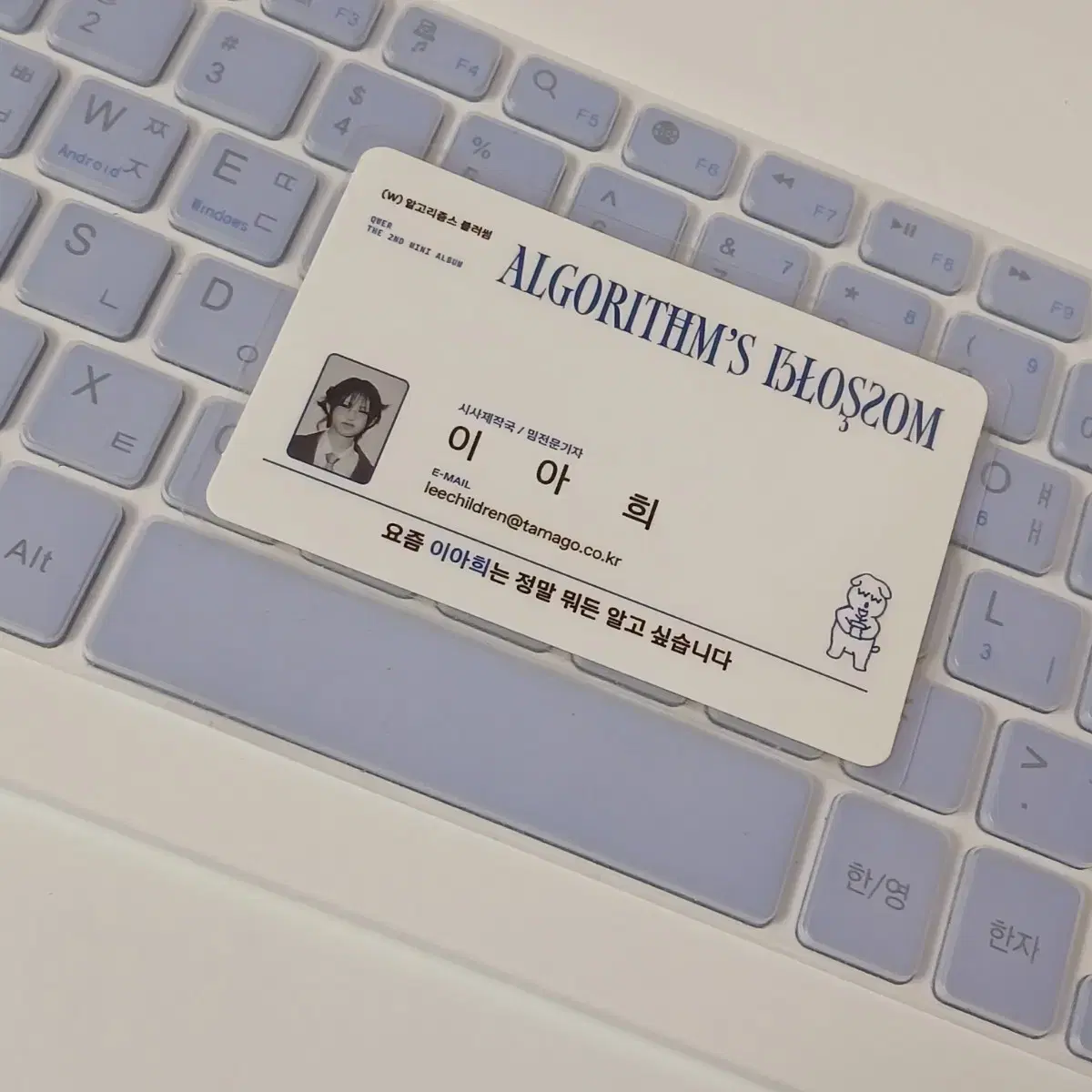 qtteoblewyieol QWER Magenta Algorithms Blossom ID Card #큐