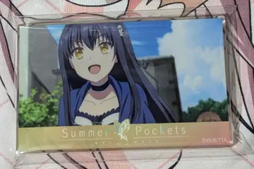 Summer Pockets 여름 포켓 아크릴 블록 구시마 카모