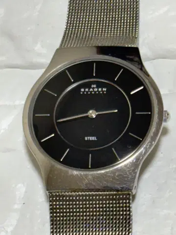 SKAGEN 스테인리스 스틸 손목시계