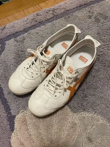 오니츠카타이거