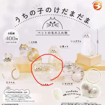 우리 아이는 아직 정품 노멀