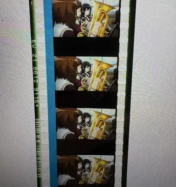 라푼젤: 마법의 왕국 3D 3D 입체 상영관 안내 영화관 안내