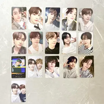 riize 성찬 트레이딩 카드