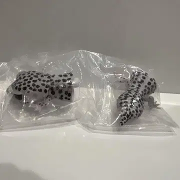 생물대도감 레프티 레오파드게코 슈퍼 맥스 스노우