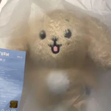 세부치 seventeen miniteen 도겸 문 봉제 인형