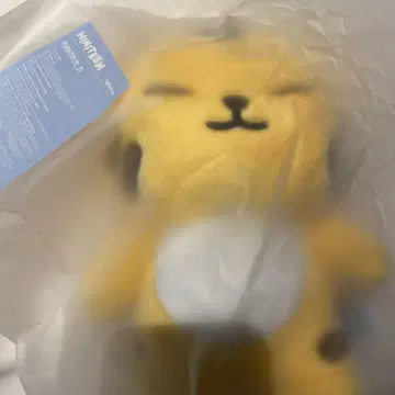 MINITEEN 팝업 봉제 인형 세븐틴 호시