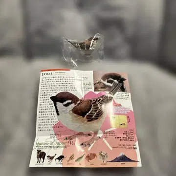 Nature of Japan 일본의 생물 03 가챠 스즈메
