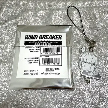 WINDBREAKER 라메 체인 컬렉션  카지 렌