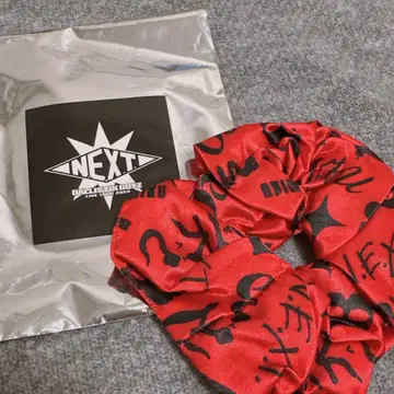 후카호리 미라이 스크런치 NEXT