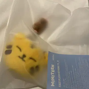호시 페이 키링 MINITEEN 팝업 세부치
