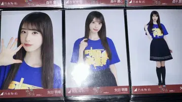 노기자카46 야다 모에카 홋카이도 라이브 T 컴프