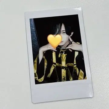 마사무네 폴라로이드