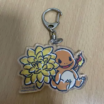 포켓몬 [히토카게] 아크릴 키링 이츠데모