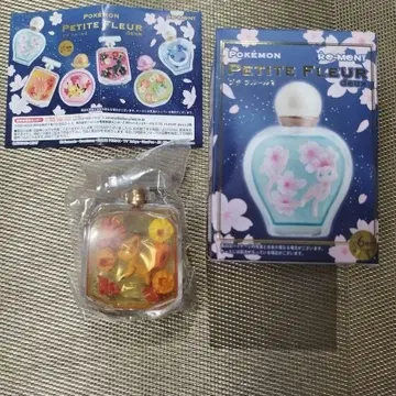 리멘트 포켓몬 쁘띠 퓌르 2 로콘